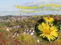 Imkerei Mörk-Grunwald in Stuttgart Imkerei Mörk-Grunwald in Stuttgart